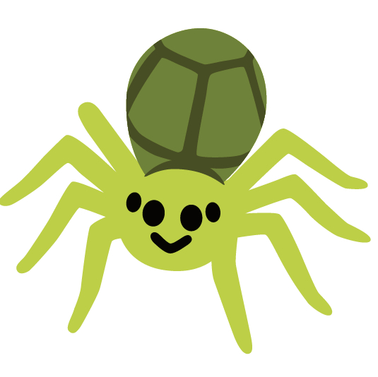 turtle spider