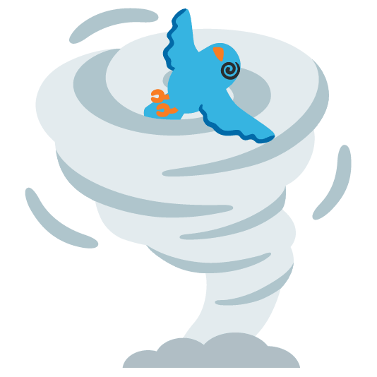 bird tornado