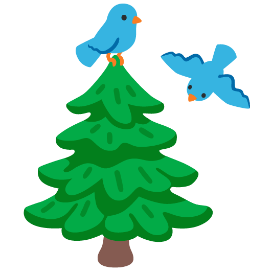 bird evergreen tree
