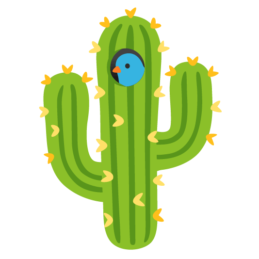 bird cactus