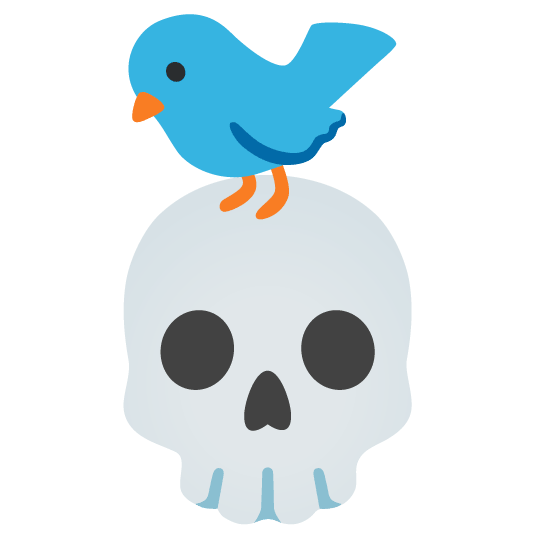 bird skull