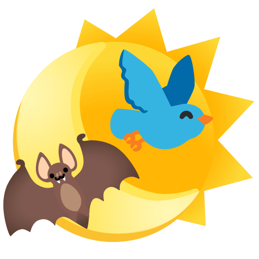 bird bat