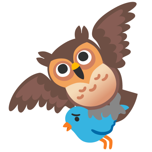 bird owl