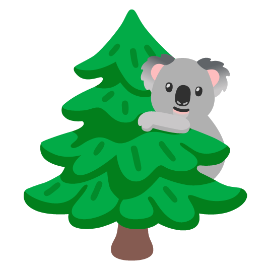 koala evergreen tree