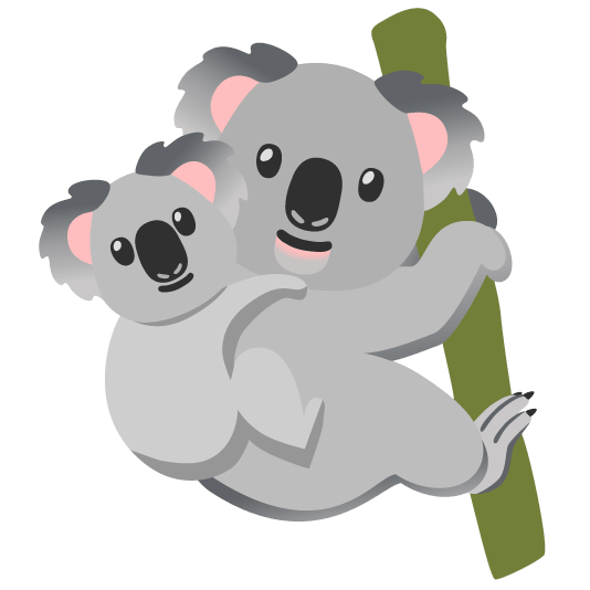 koala koala