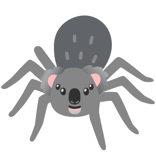 koala spider