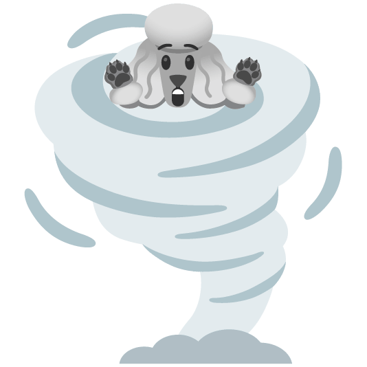 poodle tornado