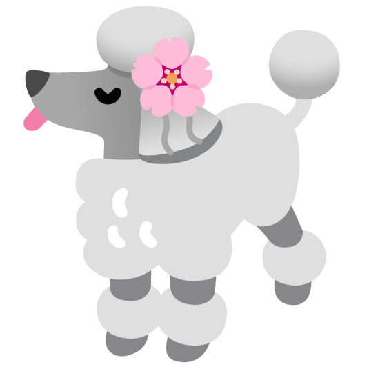 poodle cherry blossom