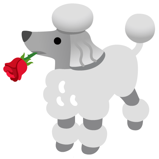 poodle rose