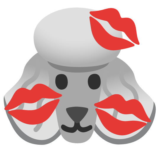 poodle kiss