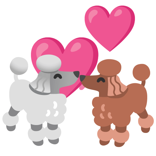 poodle revolving hearts
