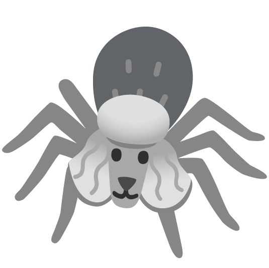 poodle spider