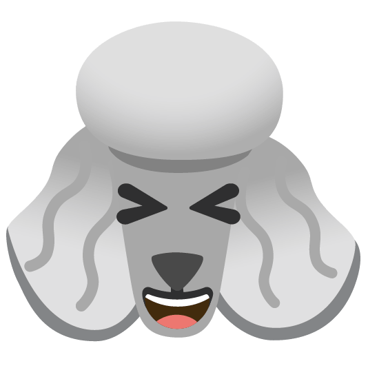 poodle laughing