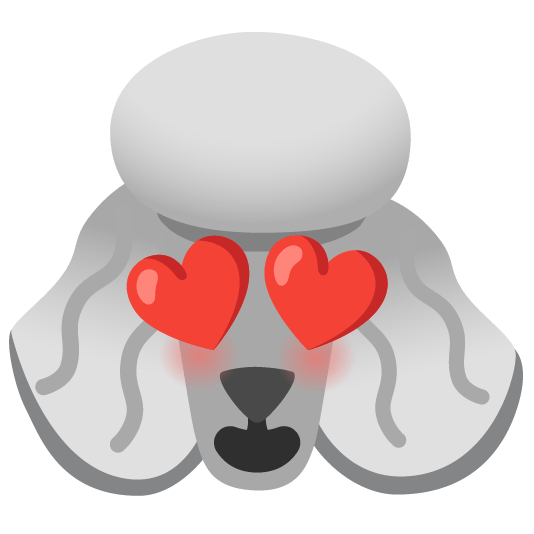 poodle heart eyes