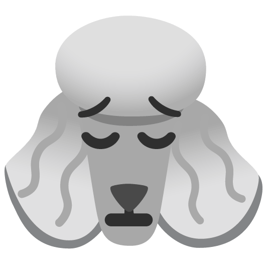 poodle pensive