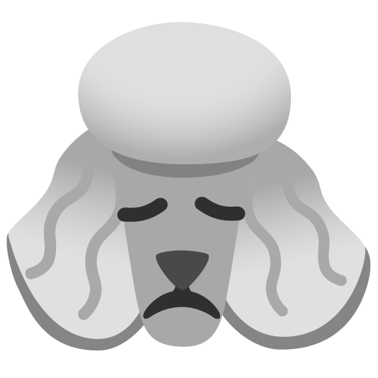 poodle disappointed