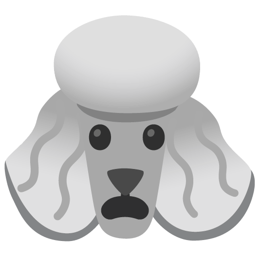 poodle frowning