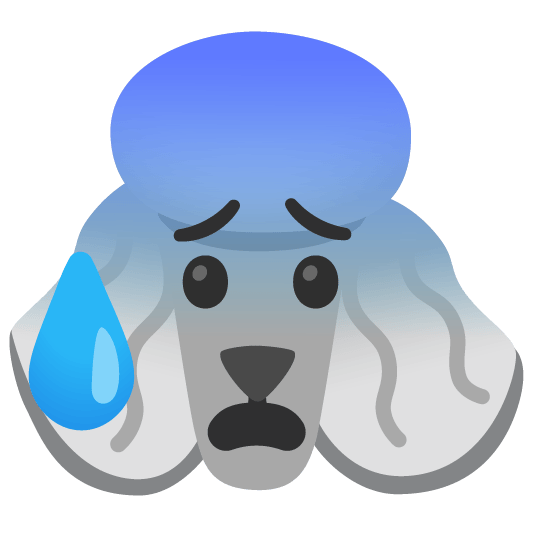 poodle cold sweat