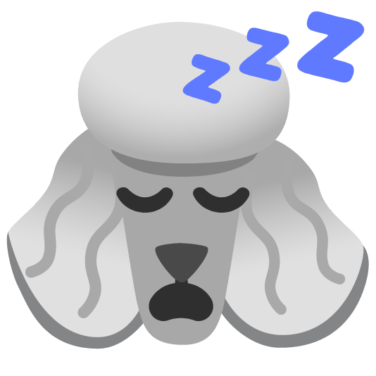 poodle sleeping