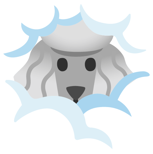 poodle face in clouds