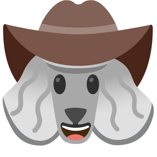 poodle face with cowboy hat