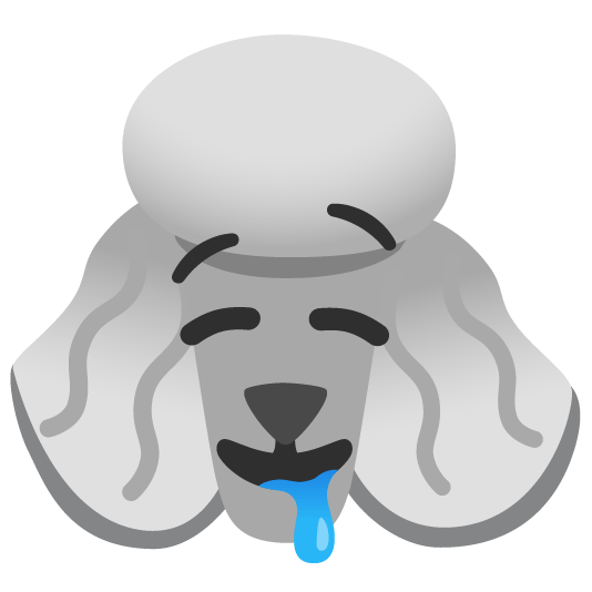 poodle drooling face