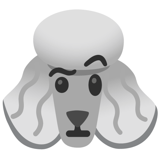 poodle face with raised eyebrow
