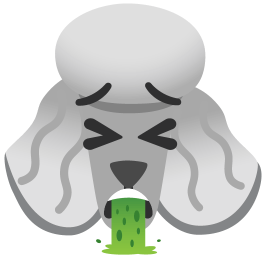 poodle face vomiting