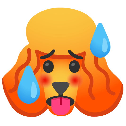 poodle hot face