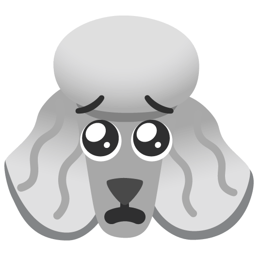 poodle pleading face