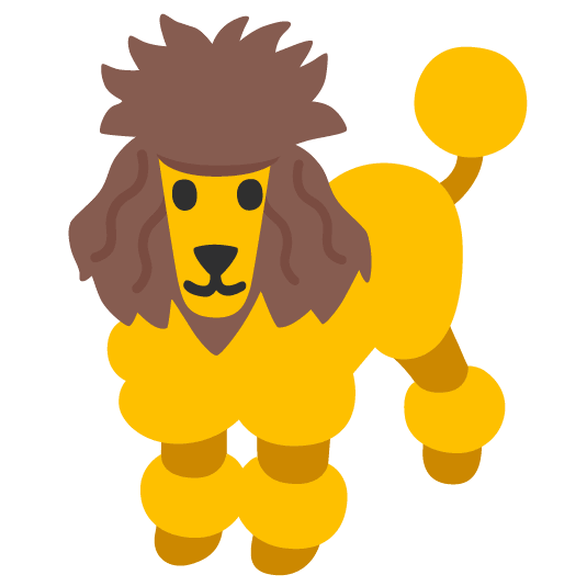 poodle lion face