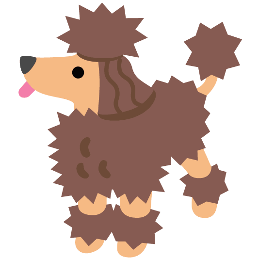 poodle hedgehog