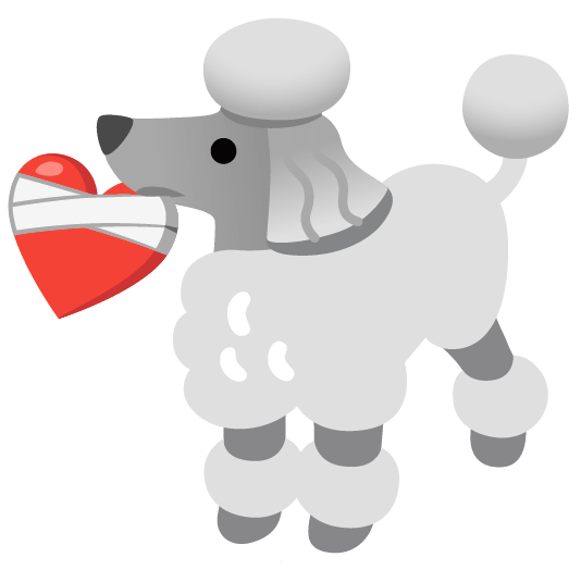 poodle mending heart