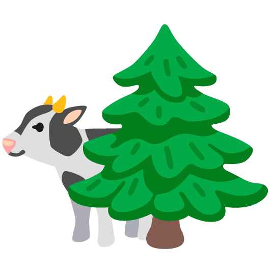 cow evergreen tree