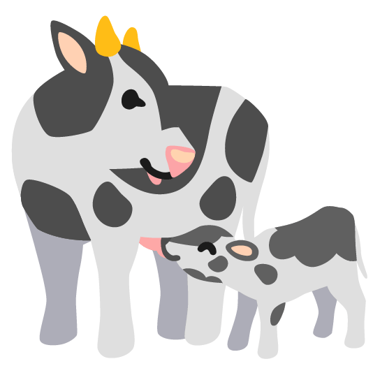 cow cow