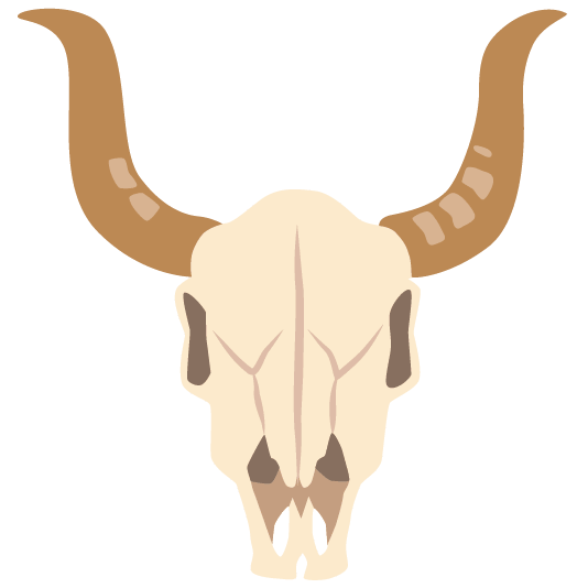 cow skull