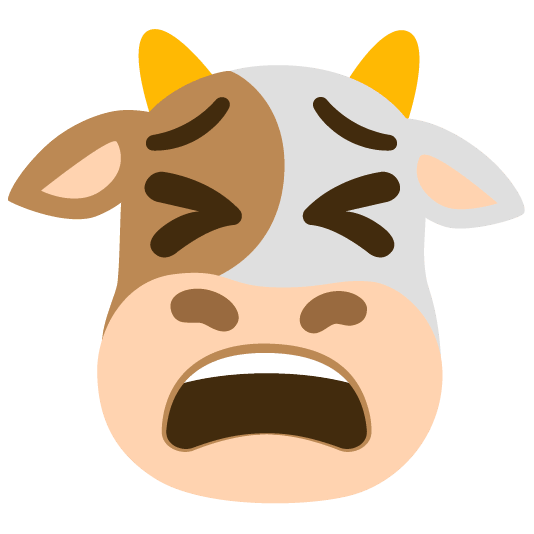 cow tired face