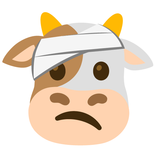 cow face with head bandage