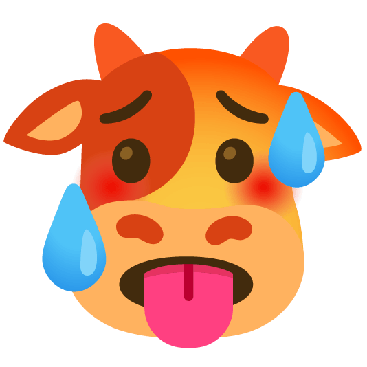 cow hot face
