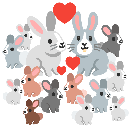 rabbit rabbit