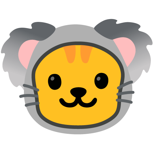 cat koala