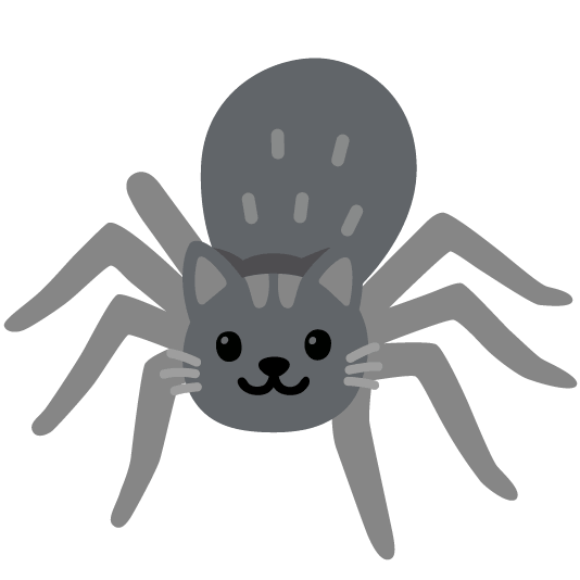 cat spider
