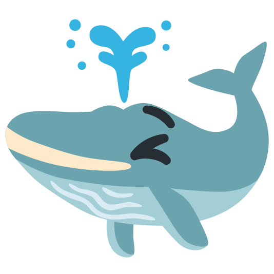 whale wink