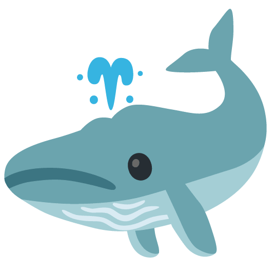 whale slightly frowning face