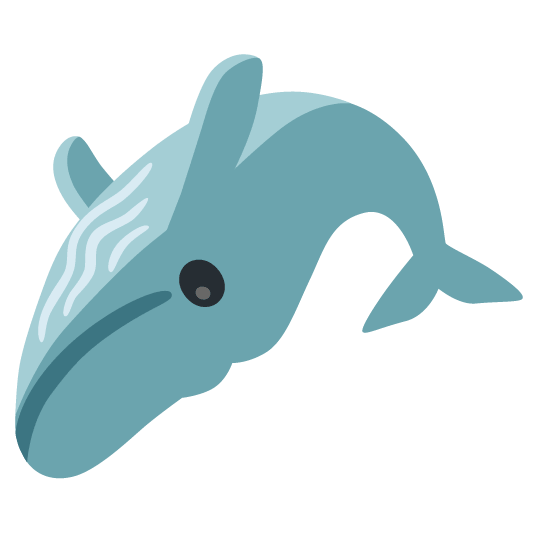 whale upside down face