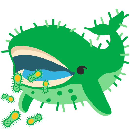 whale microbe