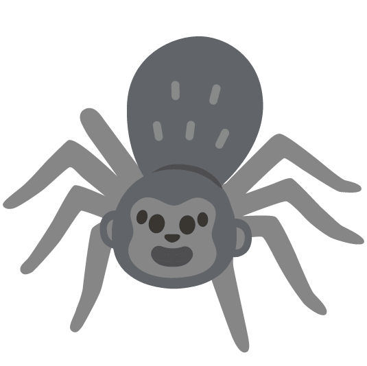 monkey face spider