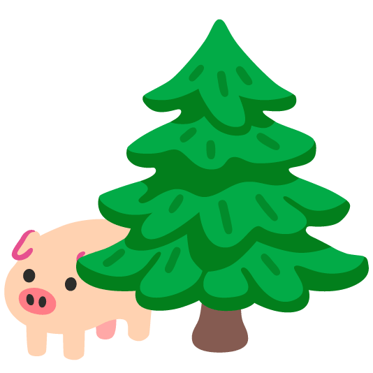 pig evergreen tree