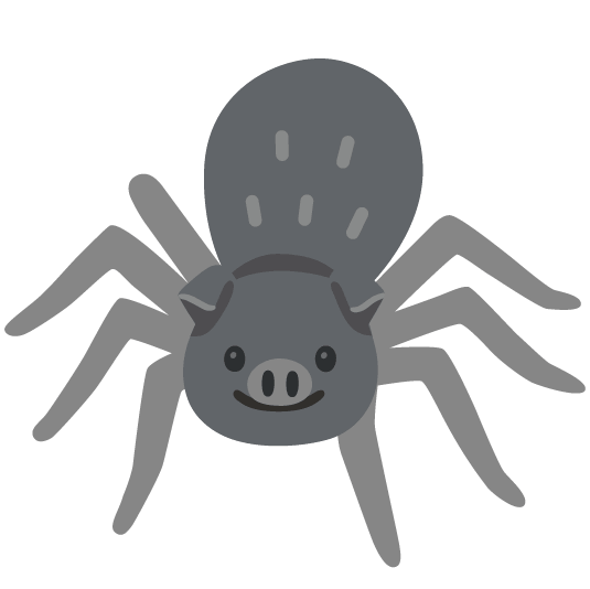 pig spider