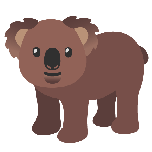 bear koala